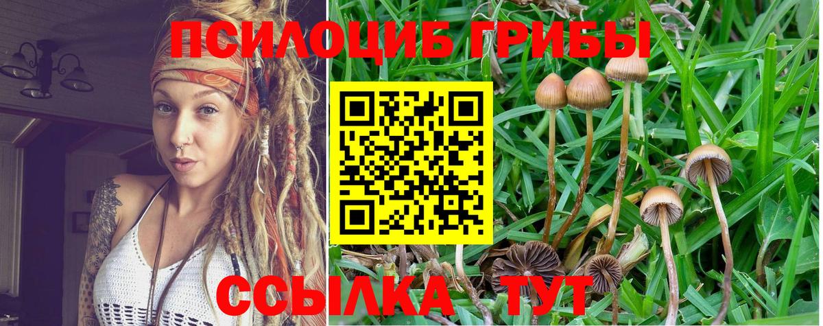Псилоцибиновые грибы мухоморы  Вход с VPN  Псилоцибиновые грибы Psilocybine cubensis  купить   Конаково 
